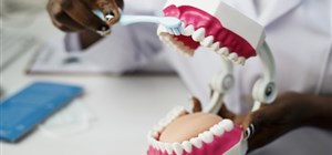 The Importance of Regular Dental Checkups 